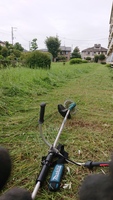 草刈り作業〈200㎡〉以上の場合は割安埼玉県蓮田市