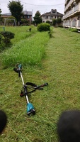 草刈り〈1200㎡〉県営緑地の草刈り、作業写真　埼玉県蓮田市